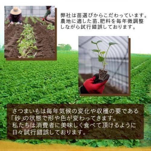 <img class='new_mark_img1' src='https://img.shop-pro.jp/img/new/icons1.gif' style='border:none;display:inline;margin:0px;padding:0px;width:auto;' />ȯ䡪Ĥޤ ʤȶ ȵ(٤ˤ)2kg ̵縩Υꥸʥ֥ɡܺٲ