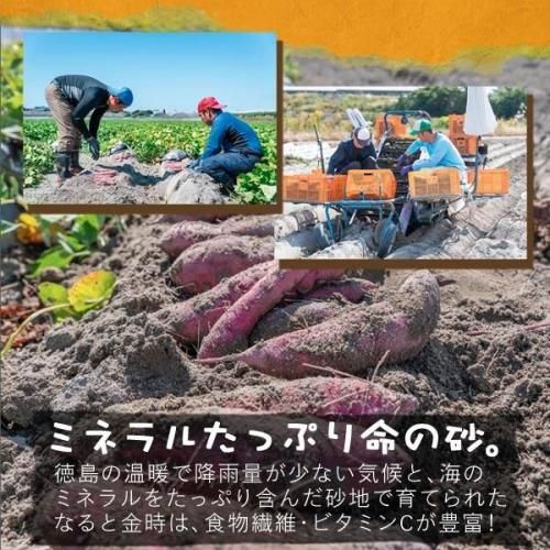 <img class='new_mark_img1' src='https://img.shop-pro.jp/img/new/icons1.gif' style='border:none;display:inline;margin:0px;padding:0px;width:auto;' />ȯ䡪Ĥޤ ʤȶ ȵ(٤ˤ)2kg ̵縩Υꥸʥ֥ɡܺٲ