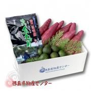 ڿ 7缡ȯ̵ ûľءʤ狼ʤȶĤޤ£  渵