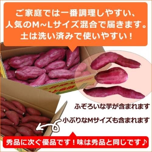 送料無料 ふぞろいのなると金時5kg さつまいも(徳島県鳴門市産 鳴門金時 さつまいも)詳細画像
