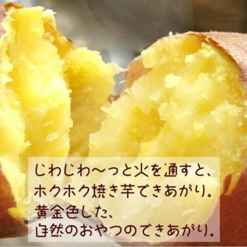 送料無料 ふぞろいのなると金時5kg さつまいも(徳島県鳴門市産 鳴門金時 さつまいも)詳細画像