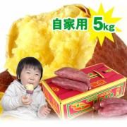 <img class='new_mark_img1' src='https://img.shop-pro.jp/img/new/icons16.gif' style='border:none;display:inline;margin:0px;padding:0px;width:auto;' />̵ ʤȶ ȥåץ֥ Τह  5kgȢ 縩 ΤĮ  Ĥޤ⡡Բ MޤLǤϤ