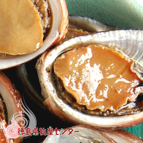 貝付「流子」味付缶詰(とこぶし)ギフト/贈答品/お中元/お歳暮/ - 徳島