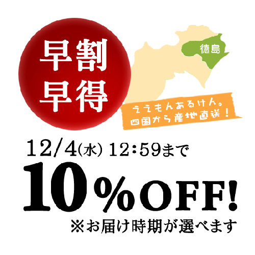 10OFF̵ Ӥ˼ ϥ饻å 縩ŷʤϤ  ƱԲ/渵////ǰ/£ܺٲ