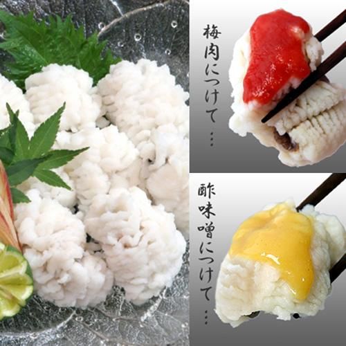 ̵ Ӥ˼ ϥ饻å 縩ŷʤϤ  ƱԲ/渵////ǰ/£ܺٲ