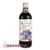 ブルーベリージュース100％720ml 野田ハニー