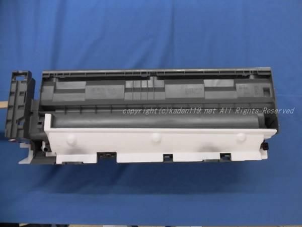 プラチナコガネ2種　ラベル無し プラチナコガネ2種 ラベル無し プラチナコガネ2種 ラベル無し