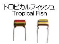 DeliciousTaylormade コンデンサーセット DeliciousTaylormade コンデンサーセット DeliciousTaylormade