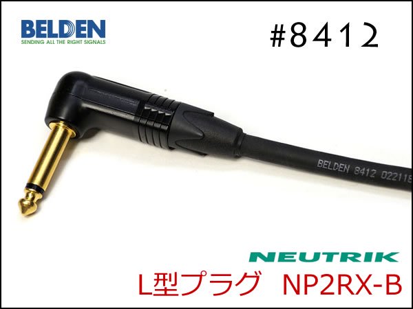 NP2RX-B