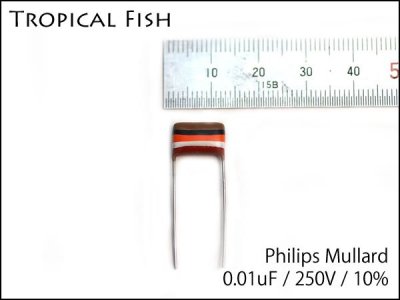 Philips / Mullard Tropical Fish ȥԥեå女ǥ󥵡 11mm ߸˸¤