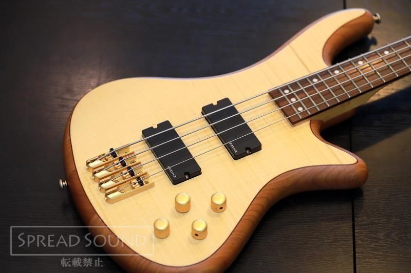 SCHECTER  ١ Diamond Series Stiletto Custom 4 Natural Satin