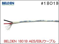 BELDEN ٥ǥ #1801B AES/EBU ǥ륱֥ڤ 1m