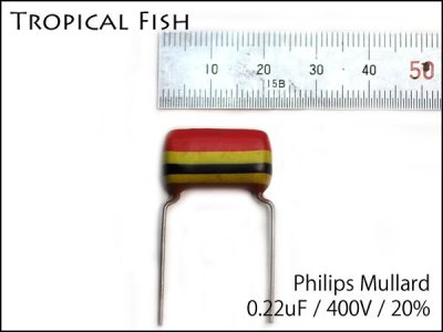 Philips / Mullard Tropical Fish ȥԥեå女ǥ󥵡 20mm ߸˸¤