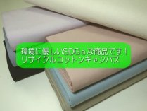 <img class='new_mark_img1' src='https://img.shop-pro.jp/img/new/icons14.gif' style='border:none;display:inline;margin:0px;padding:0px;width:auto;' />RECYCLED COTTON CANVAS