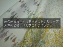 <img class='new_mark_img1' src='https://img.shop-pro.jp/img/new/icons27.gif' style='border:none;display:inline;margin:0px;padding:0px;width:auto;' />CL mOmen-t 