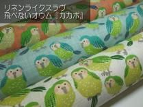 <img class='new_mark_img1' src='https://img.shop-pro.jp/img/new/icons14.gif' style='border:none;display:inline;margin:0px;padding:0px;width:auto;' />ͥ饤 ٤ʤإݡ