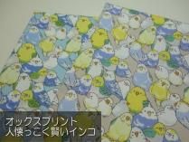 <img class='new_mark_img1' src='https://img.shop-pro.jp/img/new/icons14.gif' style='border:none;display:inline;margin:0px;padding:0px;width:auto;' />å Ͳä