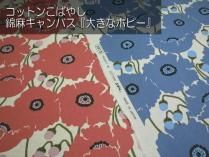 <img class='new_mark_img1' src='https://img.shop-pro.jp/img/new/icons27.gif' style='border:none;display:inline;margin:0px;padding:0px;width:auto;' />åȥ󤳤Ф䤷 㥭Х礭ʥݥԡ