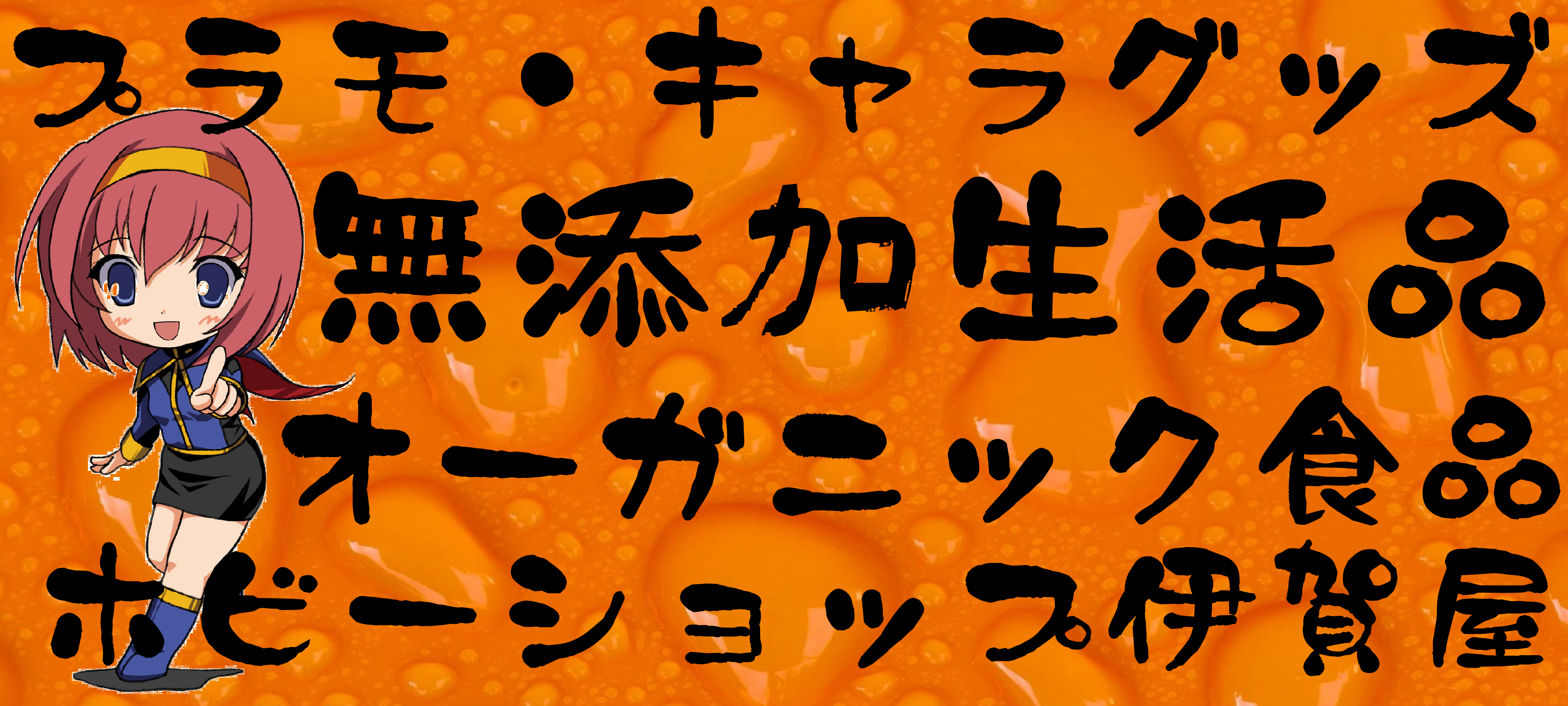 キャラクターグッズ,フィギュア,プラモデル,SDGsアイテム,無添加生活品,有機,オーガニック食品などの通販でしたら伊賀屋人形店！