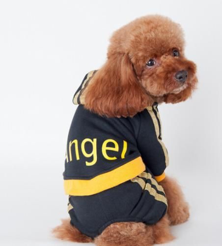 ペット用 ジャージ トレーナーパーカー ブラック ピンク フード付き冬用犬服 愛犬 ハロウィン 洋服 ドッグサイズ 仮装 新品 未使用品 妖怪ウォッチ グッズ ふなっしー グッズ マリオ グッズ ワンピース グッズ 美少女フィギュア フィギュアケース ハッカ油 他 ペット用 ジャージ トレーナーパーカー ブラック ピンク フード付き冬用犬服 愛犬 ハロウィン 洋服 ドッグサイズ 仮装 新品 未使用品 妖怪ウォッチ グッズ ふなっしー グッズ マリオ グッズ ワンピース グッズ 美少女フィギュア フィギュアケース ハッカ油 他