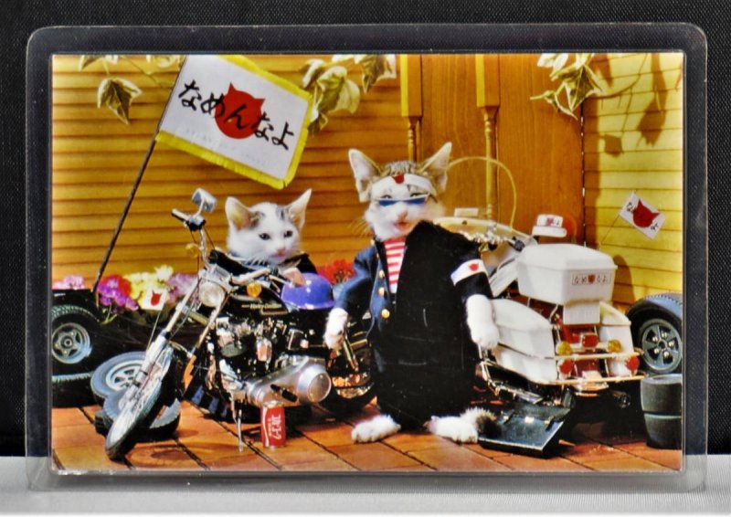 【在庫あり★即納可能】当時物 新品 なめ猫 全日本暴猫連合なめんなよ カードコレクション BR-120 ラミネートカード -  キャラクターグッズ,フィギュア,プラモデル,SDGsアイテム,無添加生活品などの通販でしたら伊賀屋人形店！