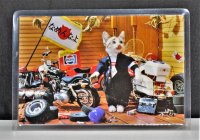 【在庫あり★即納可能】当時物 新品 なめ猫 全日本暴猫連合なめんなよ カードコレクション BR-116 ラミネートカード