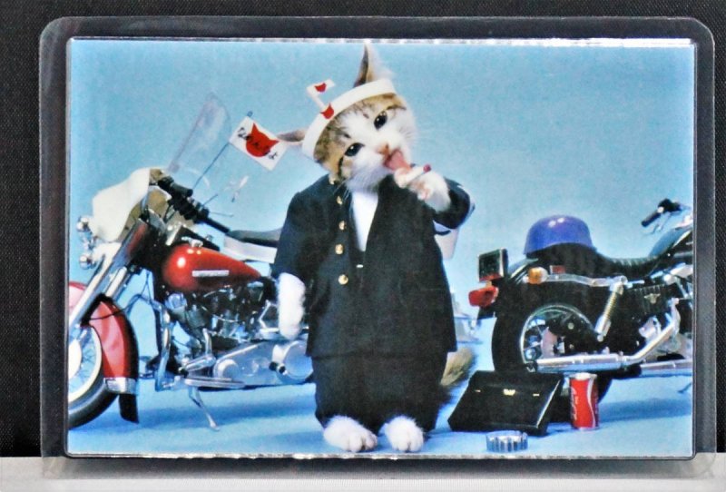 【在庫あり★即納可能】当時物 新品 なめ猫 全日本暴猫連合なめんなよ カードコレクション BR-118 ラミネートカード -  キャラクターグッズ