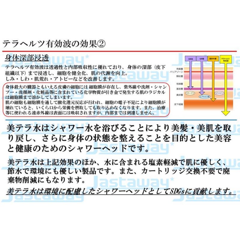 【お取り寄せ★納期 最長 約2週間】テラヘルツ波 シャワーヘッドの最高峰「美テラ水」★美髪・美肌へ　長く美しく 身体全体を整える -  キャラクターグッズ,フィギュア,プラモデル,SDGsアイテム,無添加生活品などの通販でしたら伊賀屋人形店！