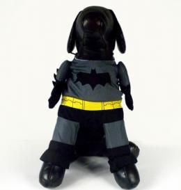 在庫あり 即納可能 バットマン風 コスチューム ペット用 サイズ2 ドッグサイズ コスプレ 犬用ハロウィン衣装 仮装 クリスマス ハロウィーン Halloween 新品 未使用品 悪用禁止 妖怪ウォッチ グッズ ふなっしー グッズ マリオ グッズ ワンピース グッズ 在庫あり 即納可能 バットマン風 コスチューム ペット用 サイズ2 ドッグサイズ コスプレ 犬用ハロウィン衣装 仮装 クリスマス ハロウィーン Halloween 新品 未使用品 悪用禁止 妖怪ウォッチ グッズ ふなっしー グッズ マリオ グッズ ワンピース グッズ