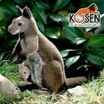 KOESEN ҡϥ󥬥롼ƻ 4050