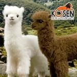 KOESEN ҡϥѥ