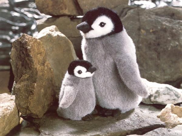 KOESEN ケーセン社 皇帝ペンギン (ミニ) - 動物のぬいぐるみ