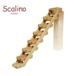 Scalino ꡼μҡScalino ꡼ ѡ