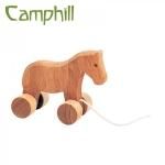 Camphill ץҥϰ ݥˡ