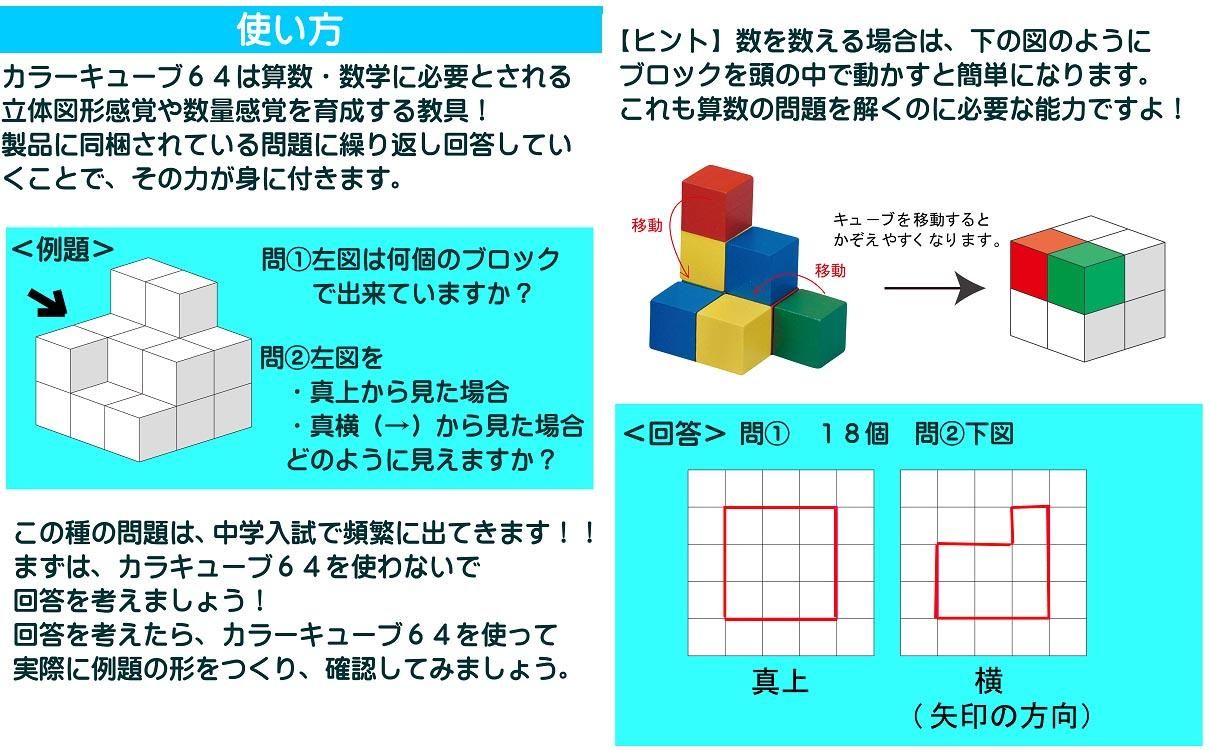 平和工業 パズル道場 カラーキューブ64 木のおもちゃ 赤ちゃんのおもちゃ 木製玩具 Eurobus 通販shop