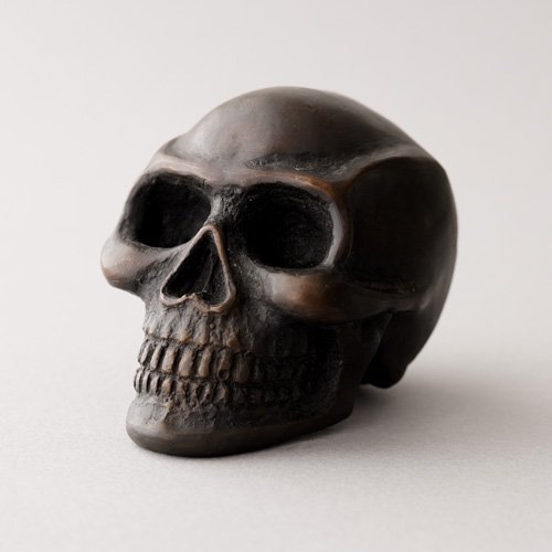 Skull (Anne Ricketts)