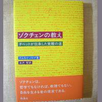 ゾクチェンの教え―チベットが伝承した覚醒の道（ナムカイノルブ 著