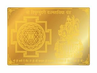 ȥץ顦꡼ȥ12.7cm8.9cmˡʼ