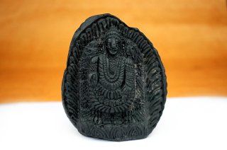 ティルパティ・バラジ神像（シャーラグラーマ、489g）（受注発注品）