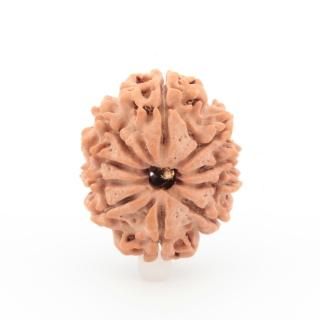10̥ɥ顼㡦ӡʥͥѡ뻺23.6mm x 20.7mm x 16.0mm