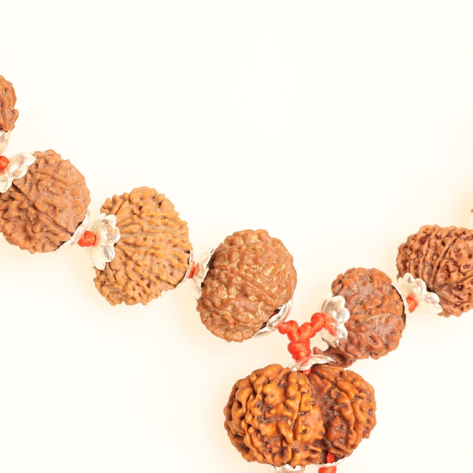 アカルシャヤ・シッダマーラー ルドラクシャ(ルドラークシャ)