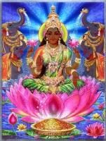 ラクシュミー女神ポスター - スピリチュアルインド雑貨 SitaRama