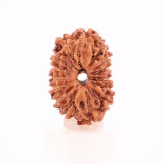 15̥ɥ顼㡦ӡʥﻺ13.4mm x 8.9mm x 8.4mm