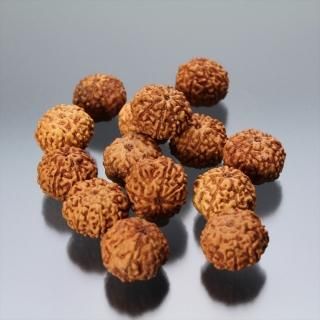 【10/5までの出品】ルドラクシャ1面～14面+ガウリーシャンカラ+ガネーシャ 10/5までの出品】ルドラクシャ1面～14面+ガウリーシャンカラ+