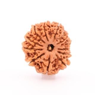 12̥ɥ顼㡦ӡʥͥѡ뻺25.0mm x 21.7mm x 19.0mm