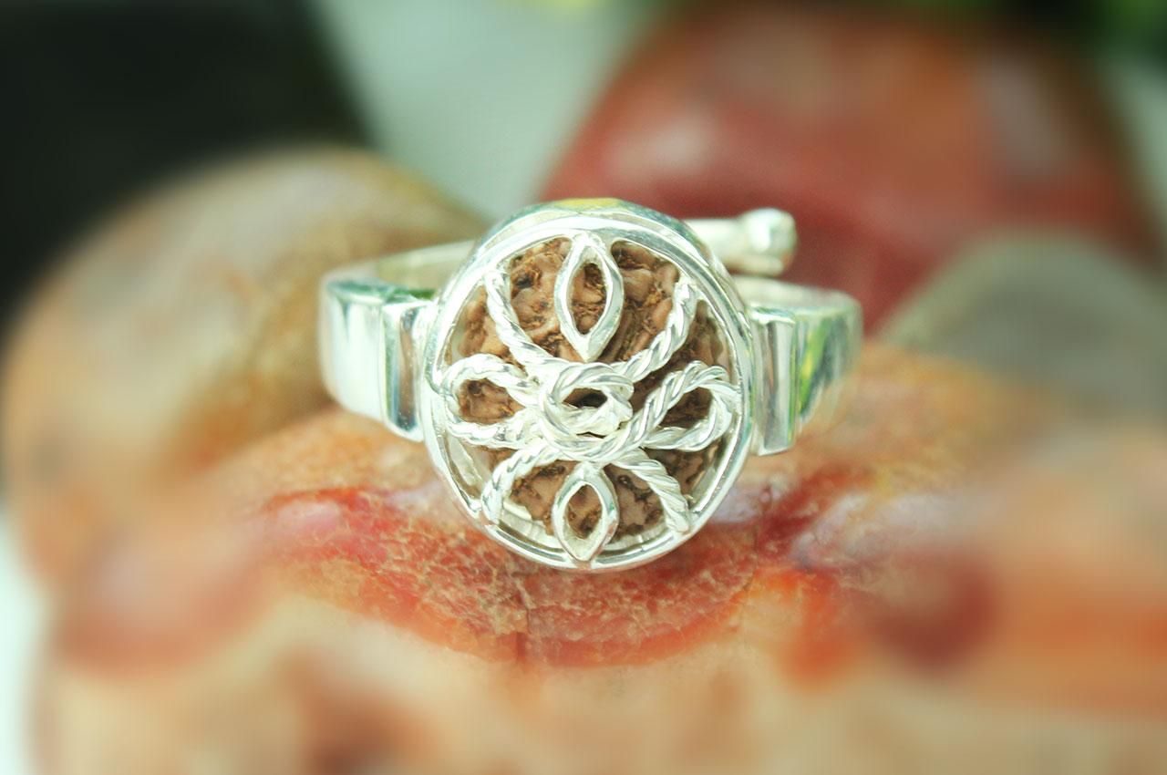 【10/5までの出品】ルドラクシャ1面～14面+ガウリーシャンカラ+ガネーシャ ルドラクシャビーズ 1～14面+ガウリーシャンカラ+ガネーシャ