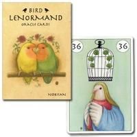 【♡Mary♡お取り置き中】鳥　ルノルマンカードとカラーカードセット ♡Mary♡お取り置き中】鳥 ルノルマンカードとカラーカード