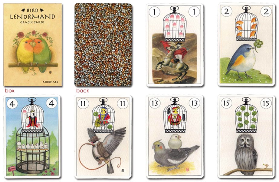 BIRD LENORMAND ORACLE CARDS 鳥ルノルマン