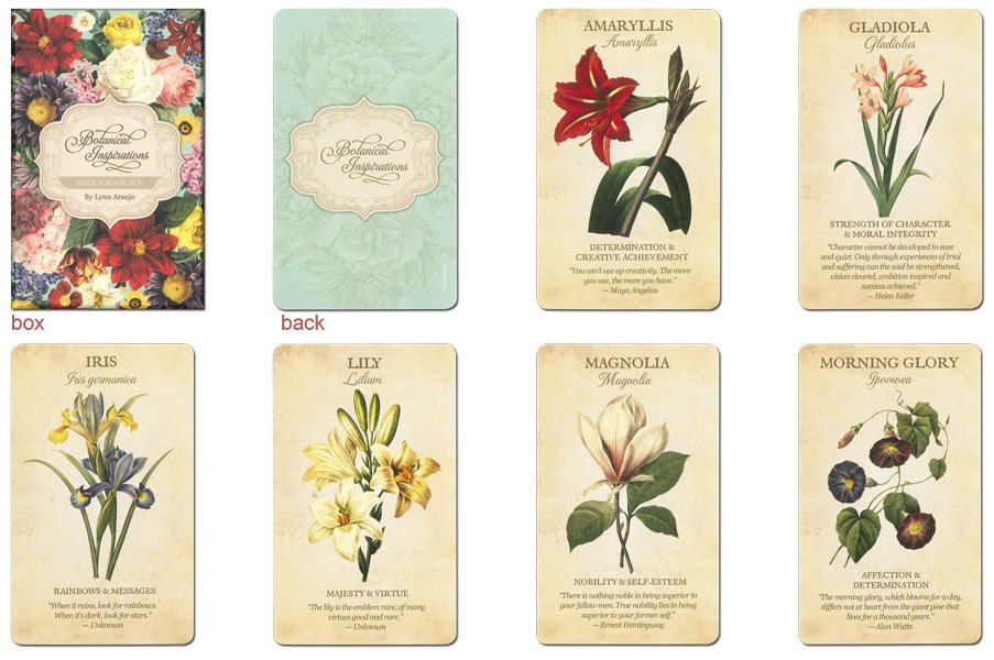 BOTANICAL INSPIRATIONS DECK BOOK SET　ボタニカル・インスピレーション・セット