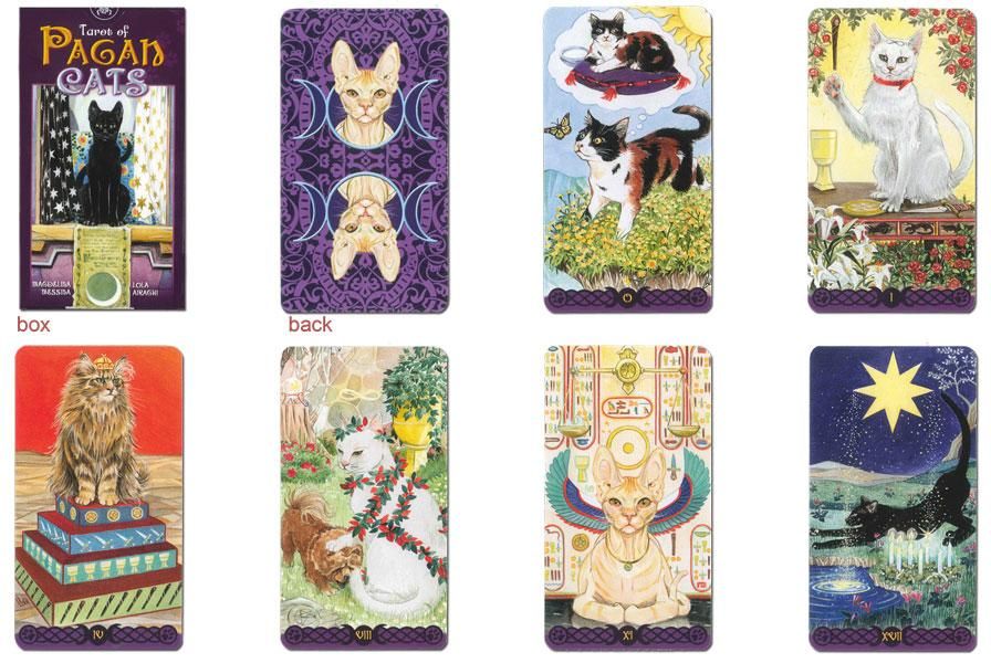 tarot タロット オブ ペイガン キャッツ タロットカード - トランプ